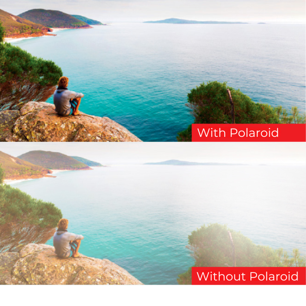 Polaroid Sunglass Lenses