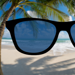 Zeiss Blue Sunglass Tint