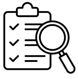 inspection icon